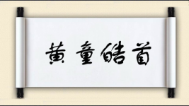 黄童皓首图片