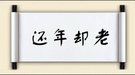 还年却老图片