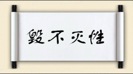 毁不灭性图片