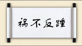 祸不反踵图片