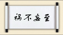 祸不妄至图片