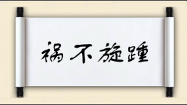 祸不旋踵图片