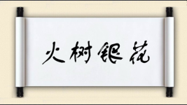 火树银花图片