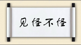 见怪不怪图片