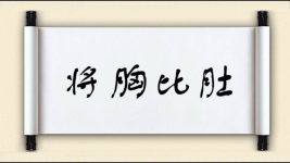 将胸比肚图片