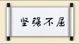 坚强不屈图片