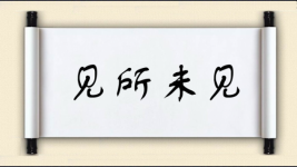 见所未见图片