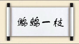 鹪鹩一枝图片