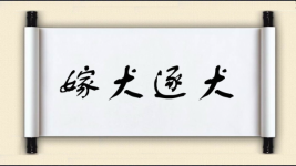嫁犬逐犬图片