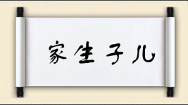家生子儿图片