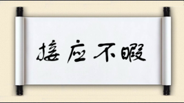 接应不暇图片