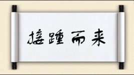 接踵而来图片