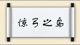 惊弓之鸟图片