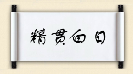 精贯白日图片