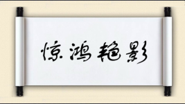 惊鸿艳影图片