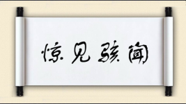 惊见骇闻图片