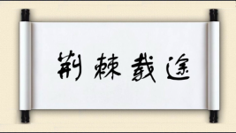 荆棘载途图片