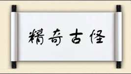 精奇古怪图片