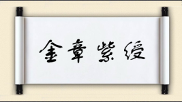 金章紫绶图片