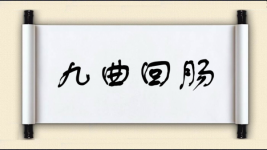 九曲回肠图片