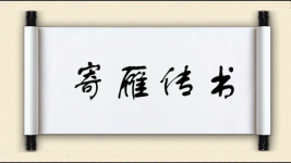 寄雁传书图片