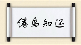 倦鸟知还图片