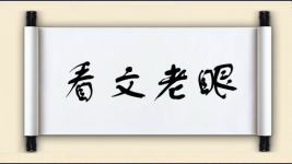 看文老眼图片