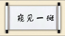 窥见一斑图片