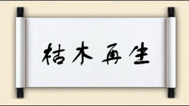 枯木再生图片