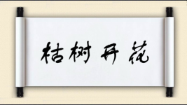 枯树开花图片