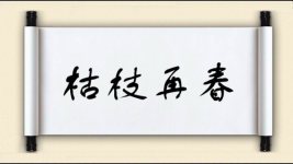 枯枝再春图片