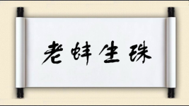 老蚌生珠图片