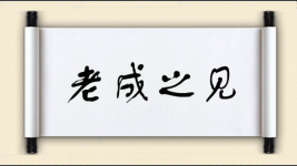 老成之见图片