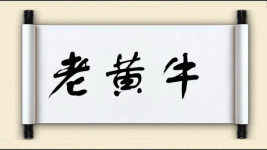 老黄牛图片