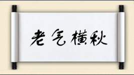 老气横秋图片