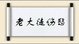 老大徒伤悲图片