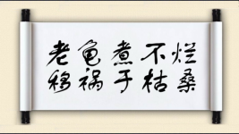 老龟煮不烂，移祸于枯桑图片