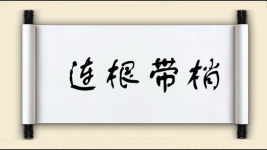 连根带梢图片