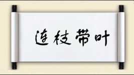 连枝带叶图片