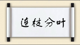 连枝分叶图片