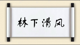 林下清风图片