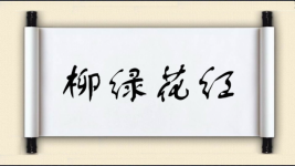 柳绿花红图片