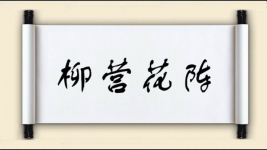 柳营花阵图片