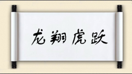 龙翔虎跃图片