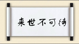来世不可待图片