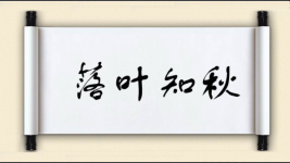 落叶知秋图片
