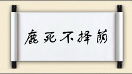 鹿死不择荫图片