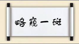 略窥一斑图片