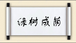 绿树成荫图片