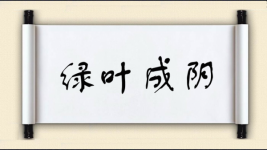 绿叶成阴图片